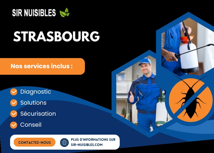 Strasbourg
