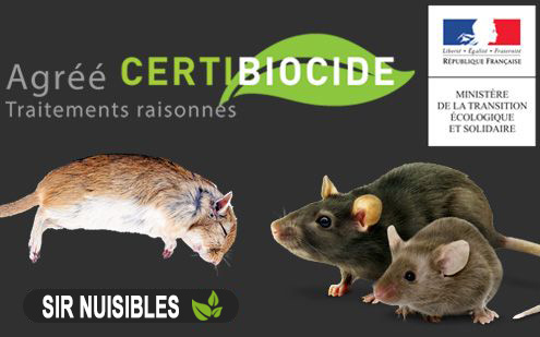 traitement anti rat et souris