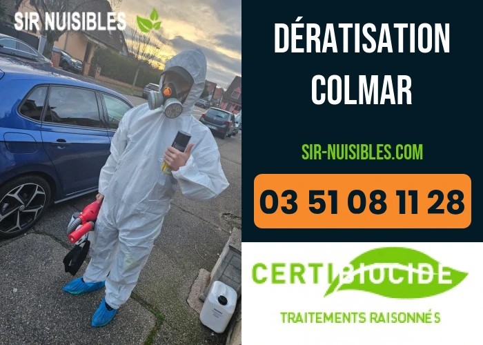 Services de dératisation à Colmar - SIR Nuisibles