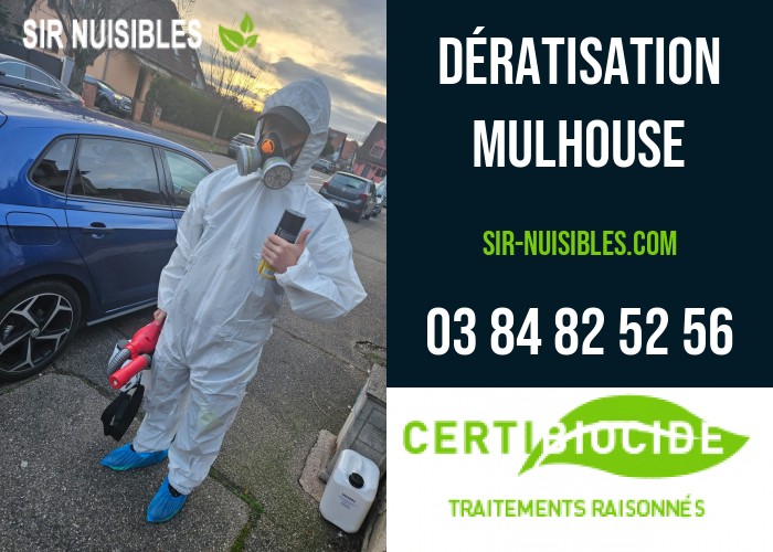 dératisation Mulhouse SIR Nuisibles