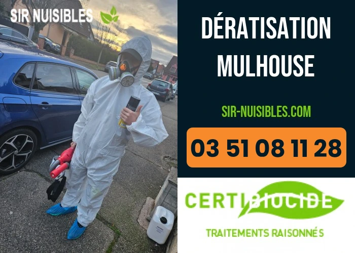 Traitement anti-rongeurs à Mulhouse par SIR Nuisibles