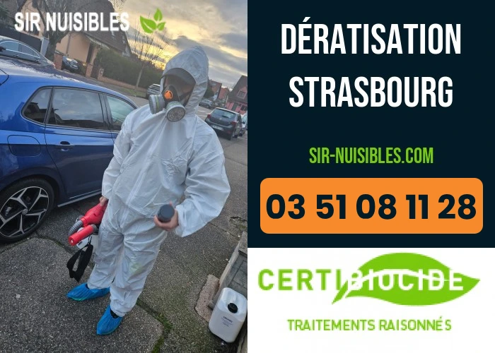 Dératisation à Strasbourg par SIR Nuisibles