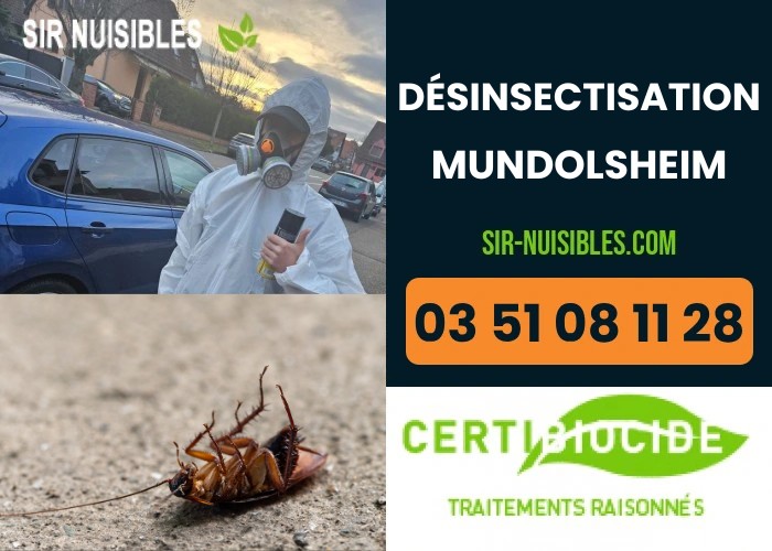 Service d'élimination d'insectes à Mundolsheim