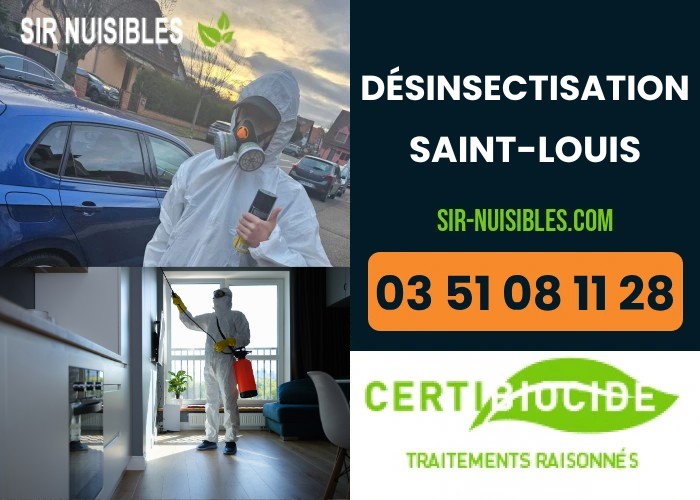 Exterminateur d'insectes à Saint-Louis - Zone frontalière