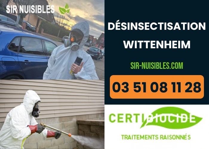 Désinsectisation professionnelle à Wittenheim