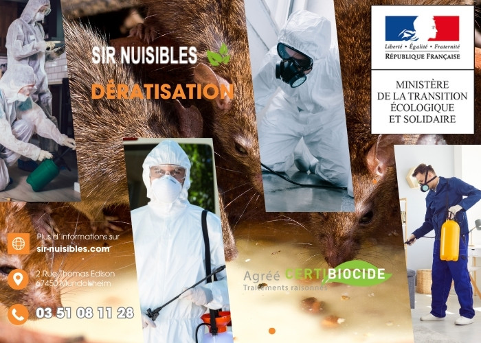 Service de dératisation SIR Nuisibles