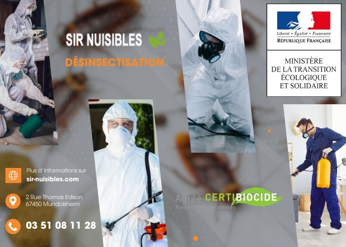 Service de désinsectisation SIR Nuisibles