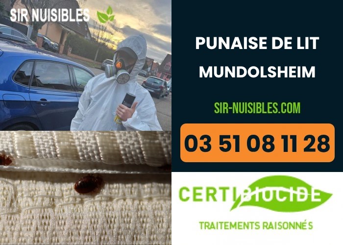 Traitement punaises de lit à Mundolsheim