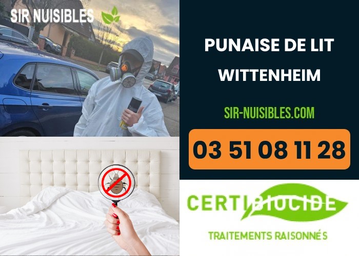 Traitement punaises de lit à Wittenheim