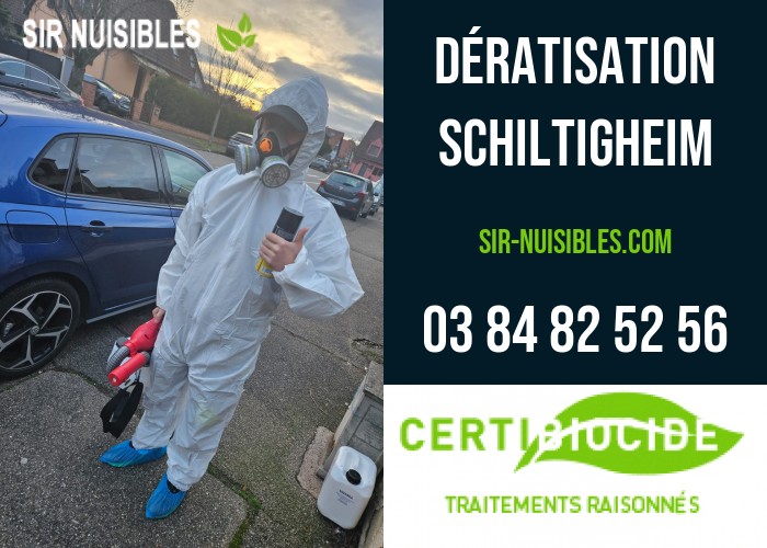 sir nuisibles dératisation Schiltigheim